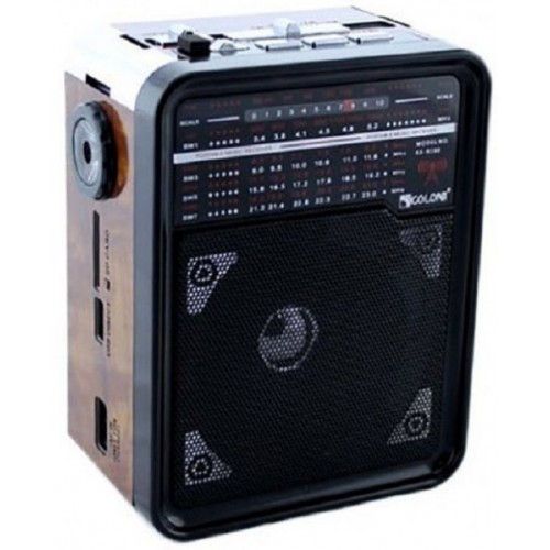 Радиоприемник с USB выходом GOLON RX-9100 Чёрный с коричневым