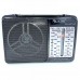 Портативный радио приемник GOLON RX-607AC от сети 220В Чёрный