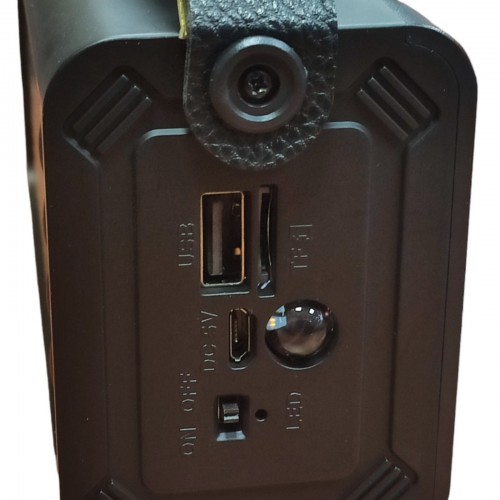 Радиоприёмник с солнечной панелью FM USB MicroSD и фонариком NS-222S на аккумуляторе Чёрный с золотым