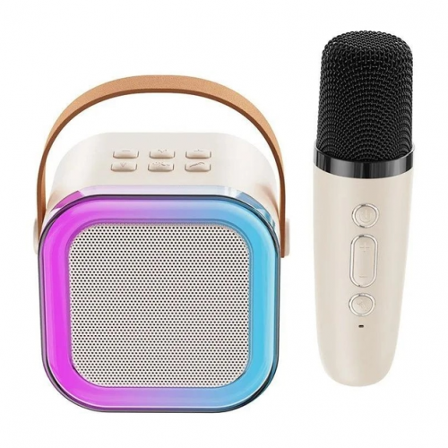 Портативная колонка с караоке микрофоном и RGB подсветкой Winso K12 10W Bluetooth, USB, microSD, AUX, Type-C Белая