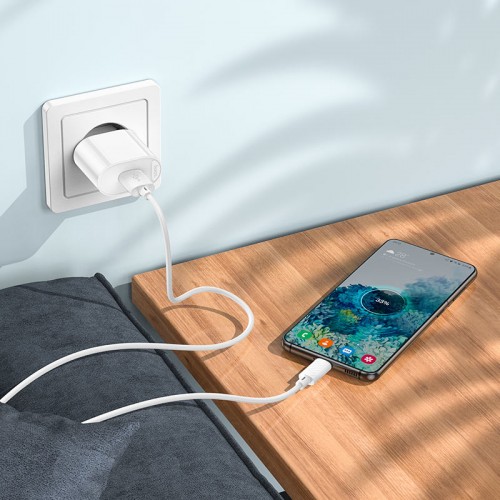 Зарядное устройство HOCO C109A Fighter QC3.0 18W с кабелем Type C Белый