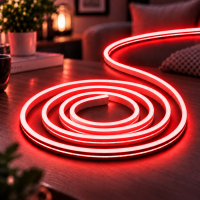 Силіконова стрічка від USB 2M / NEON світлодіодна стрічка / Водонепроникна стрічка неон Червоний